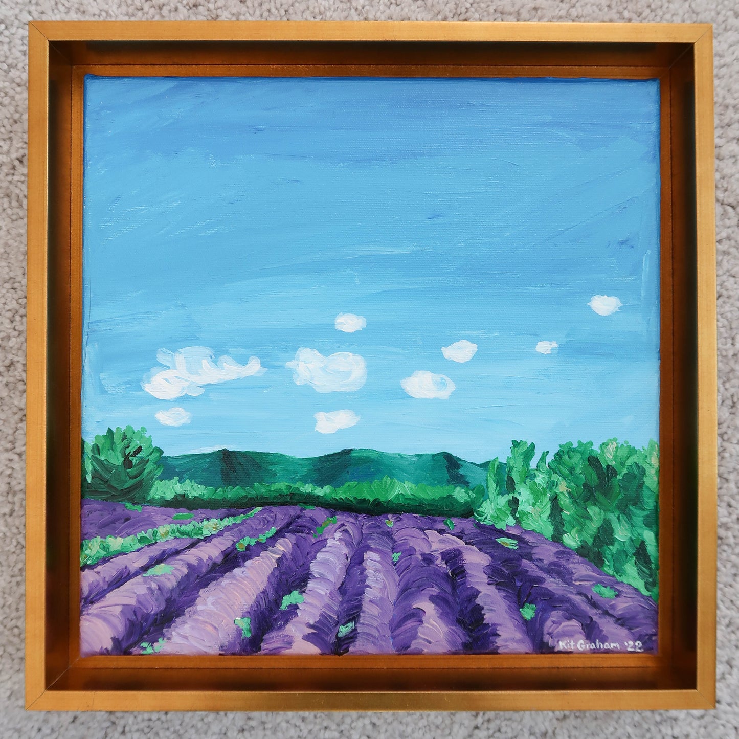 Provence Lavender FIeld