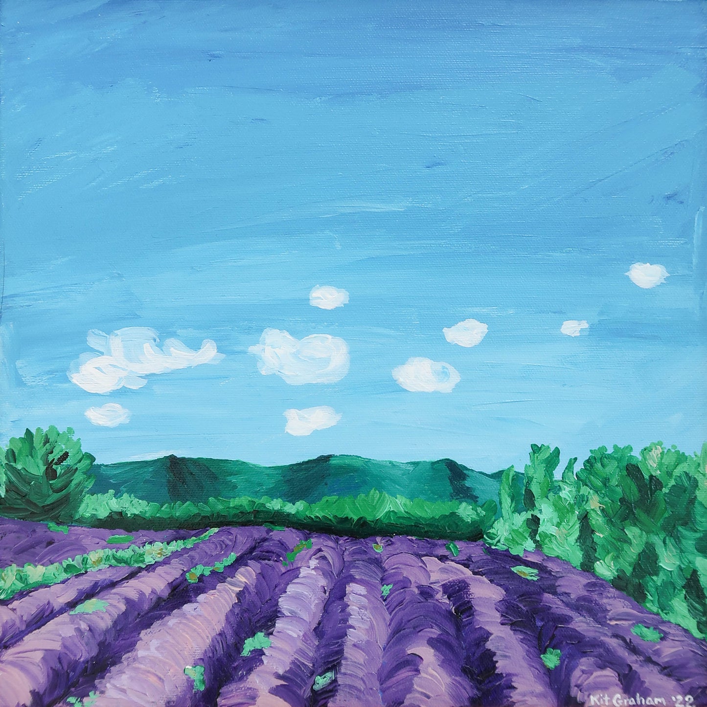 Provence Lavender FIeld